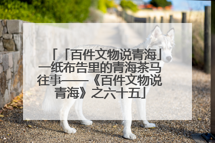 「百件文物说青海」一纸布告里的青海茶马往事——《百件文物说青海》之六十五