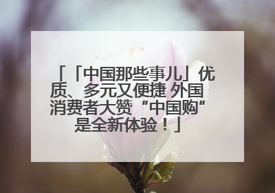 「中国那些事儿」优质、多元又便捷 外国消费者大赞“中国购”是全新体验！