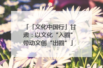 「文化中国行」甘肃：以文化“入圈”带动文创“出圈”