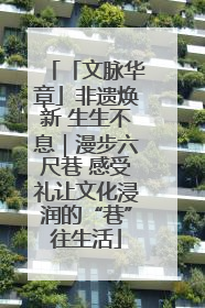 「文脉华章」非遗焕新 生生不息｜漫步六尺巷 感受礼让文化浸润的“巷”往生活