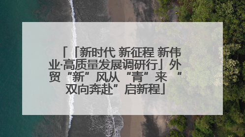 「新时代 新征程 新伟业·高质量发展调研行」外贸“新”风从“青”来 “双向奔赴”启新程