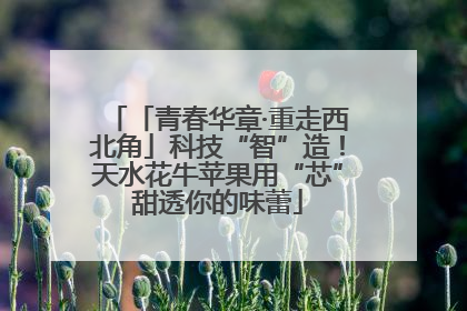 「青春华章·重走西北角」科技“智”造！天水花牛苹果用“芯”甜透你的味蕾