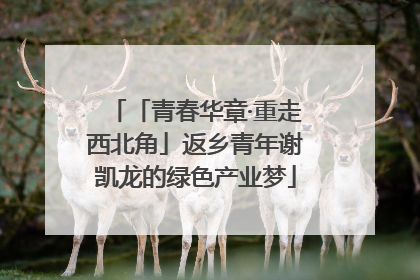 「青春华章·重走西北角」返乡青年谢凯龙的绿色产业梦