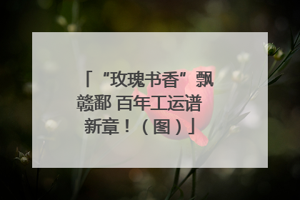 “玫瑰书香”飘赣鄱 百年工运谱新章！（图）
