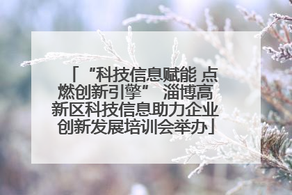“科技信息赋能 点燃创新引擎” 淄博高新区科技信息助力企业创新发展培训会举办