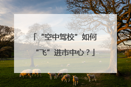 “空中驾校”如何“飞”进市中心？