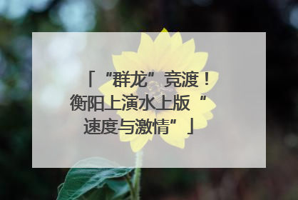 “群龙”竞渡！衡阳上演水上版“速度与激情”
