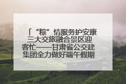 “粽”情服务护安康 三大交旅融合景区迎客忙——甘肃省公交建集团全力做好端午假期景区运营工作