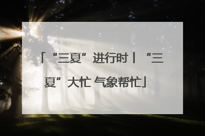 “三夏”进行时丨“三夏”大忙 气象帮忙