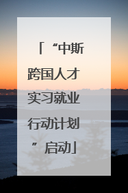 “中斯跨国人才实习就业行动计划”启动