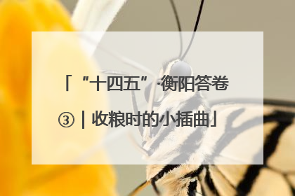 “十四五”·衡阳答卷③｜收粮时的小插曲
