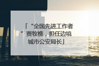 “全国先进工作者”贾牧樵，担任边境城市公安局长