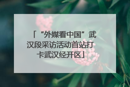“外媒看中国”武汉段采访活动首站打卡武汉经开区
