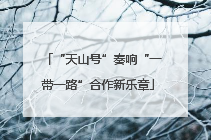 “天山号”奏响“一带一路”合作新乐章