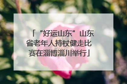 “好运山东”山东省老年人持杖健走比赛在淄博淄川举行