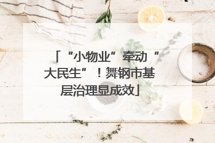 “小物业”牵动“大民生”！舞钢市基层治理显成效