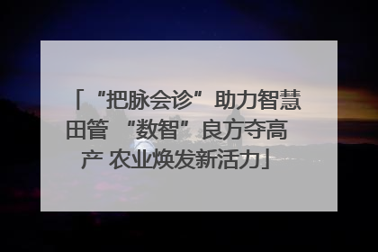 “把脉会诊”助力智慧田管 “数智”良方夺高产 农业焕发新活力