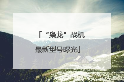 “枭龙”战机最新型号曝光