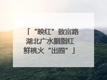 “映红”致富路 湖北广水胭脂红鲜桃火“出圈”