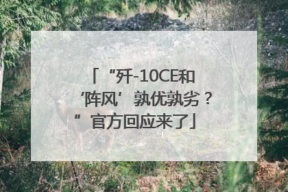 “歼-10CE和‘阵风’孰优孰劣？”官方回应来了