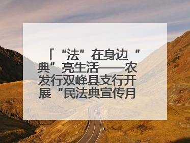 “法”在身边“典”亮生活——农发行双峰县支行开展“民法典宣传月”活动