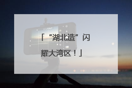 “湖北造”闪耀大湾区！