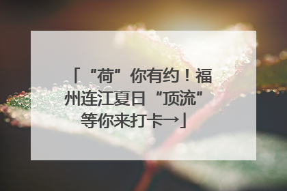 “荷”你有约！福州连江夏日“顶流”等你来打卡→