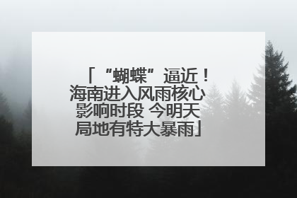 “蝴蝶”逼近！海南进入风雨核心影响时段 今明天局地有特大暴雨