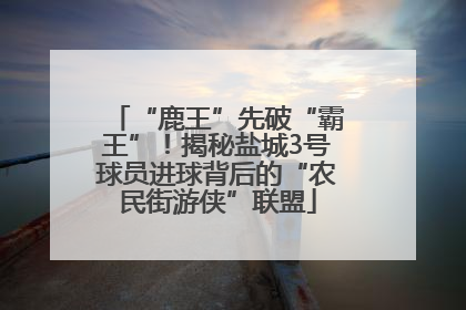 “鹿王”先破“霸王”！揭秘盐城3号球员进球背后的“农民街游侠”联盟
