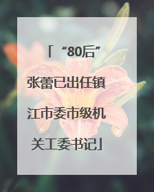 “80后”张蕾已出任镇江市委市级机关工委书记