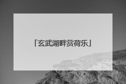 玄武湖畔赏荷乐