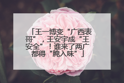 王一博变“广西表哥”，王安宇成“王安全”！谁来了两广都得“腌入味”