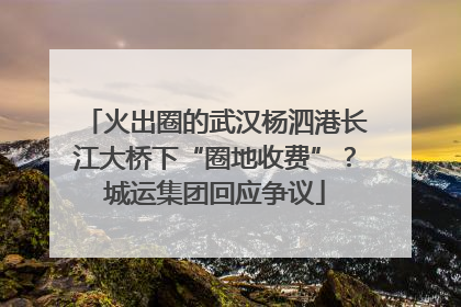 火出圈的武汉杨泗港长江大桥下“圈地收费”？城运集团回应争议