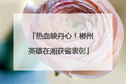 热血映丹心！郴州英雄在湘获省表彰