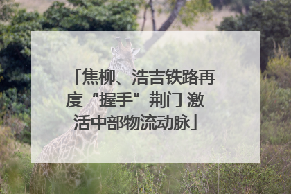 焦柳、浩吉铁路再度“握手”荆门 激活中部物流动脉