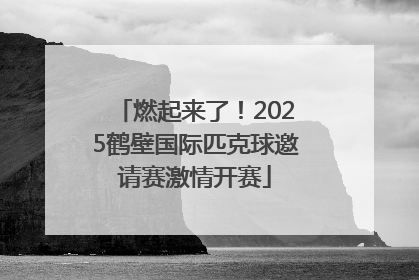 燃起来了！2025鹤壁国际匹克球邀请赛激情开赛