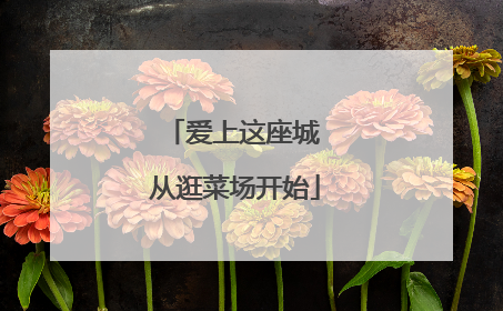 爱上这座城 从逛菜场开始