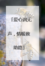 爱心润无声，情暖救助路