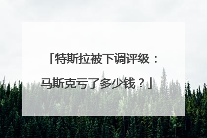 特斯拉被下调评级：马斯克亏了多少钱？