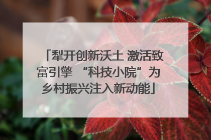犁开创新沃土 激活致富引擎 “科技小院”为乡村振兴注入新动能