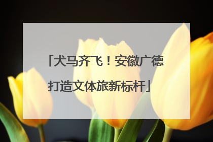 犬马齐飞！安徽广德打造文体旅新标杆