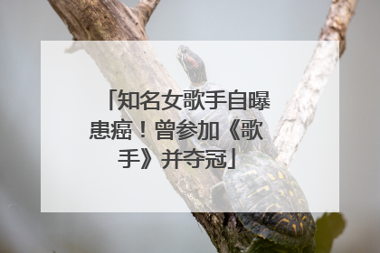 知名女歌手自曝患癌！曾参加《歌手》并夺冠