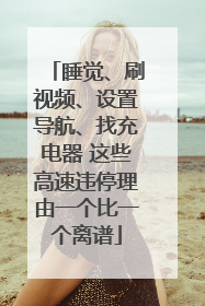 睡觉、刷视频、设置导航、找充电器 这些高速违停理由一个比一个离谱