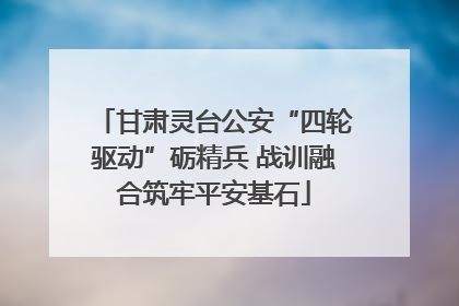 甘肃灵台公安“四轮驱动”砺精兵 战训融合筑牢平安基石