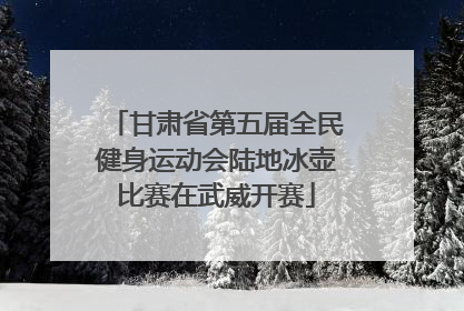 甘肃省第五届全民健身运动会陆地冰壶比赛在武威开赛