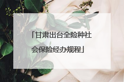 甘肃出台全险种社会保险经办规程