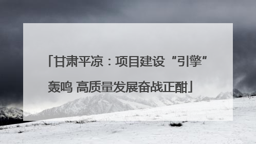 甘肃平凉：项目建设“引擎”轰鸣 高质量发展奋战正酣