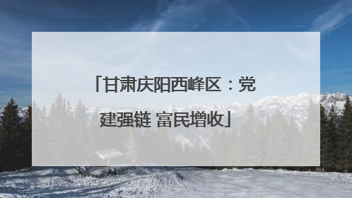 甘肃庆阳西峰区：党建强链 富民增收