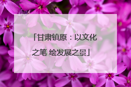 甘肃镇原：以文化之笔 绘发展之景