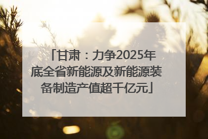 甘肃：力争2025年底全省新能源及新能源装备制造产值超千亿元